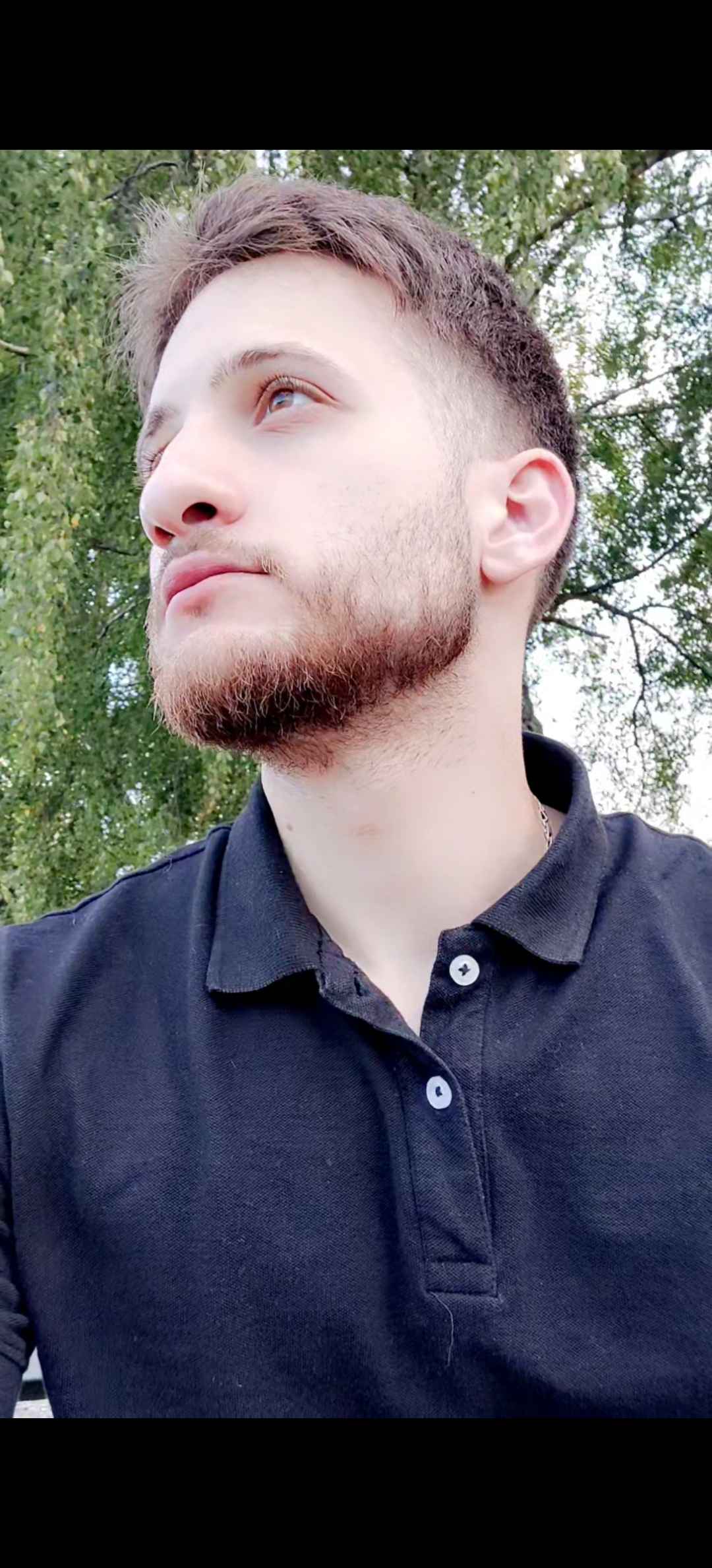 Profil von Lawrence